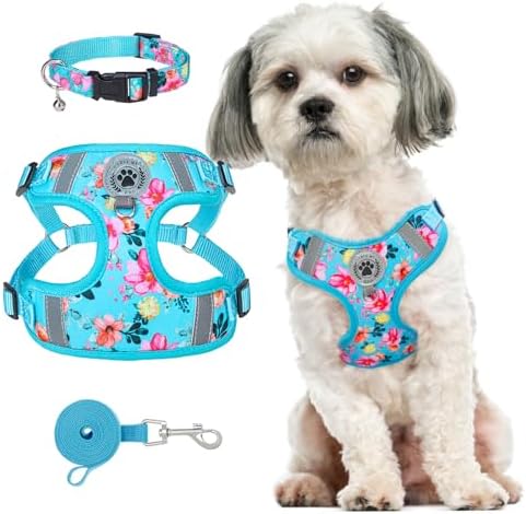 BEAUTYZOO Step in Dog Harness Collar and Leash Set by BEAUTYZOO