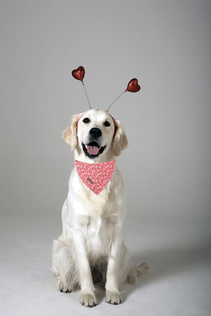 Lionet Paws Valentine Dog Bandana for Small Medium Dogs,Pink Hearts Dog Kerchief Washable Dogs Triangle Bibs Scarf for Girl or Boy