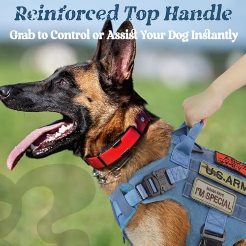 rabbitgoo Tactical Dog Harness for Small, Heavy Duty Military No Pull Vest - Image 4