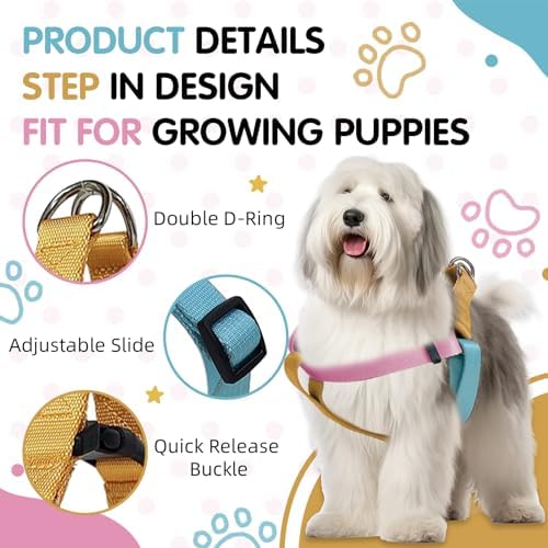 Blue Pink Tri-Color Small Dog Harness, Adjustable Step-in - Image 4