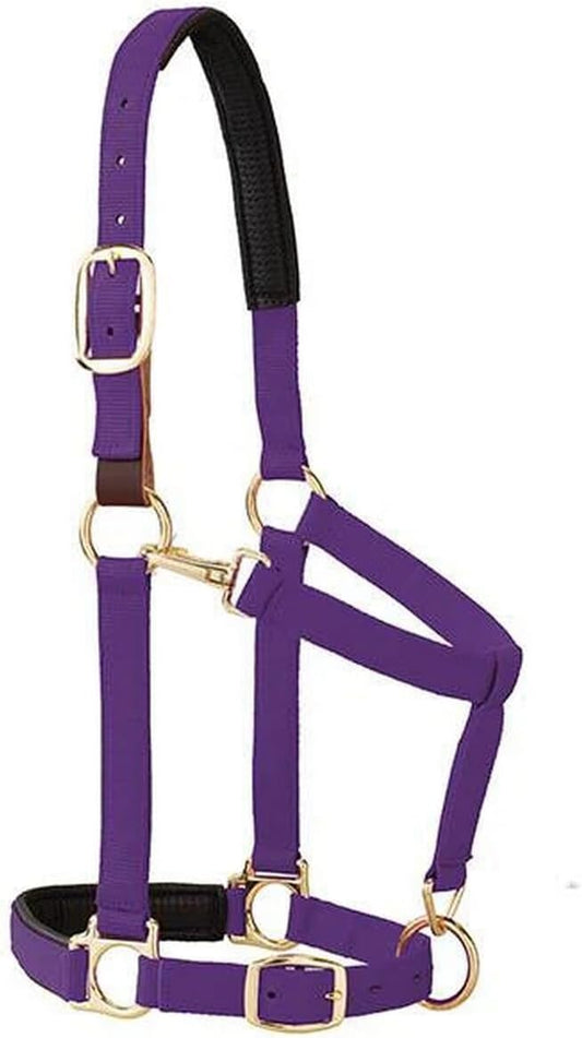 Weaver Equine Breakaway Horse Halter, Comfort Foam Padding, Adjustable Chin & Throat Snap Halters for Horses, Equine Tack,Average Size, Purple