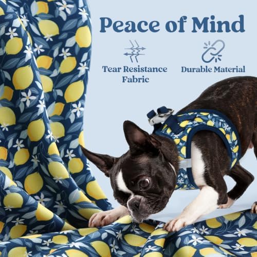 rabbitgoo Step-in Small Dog Harness, Puppy Vest - Image 5