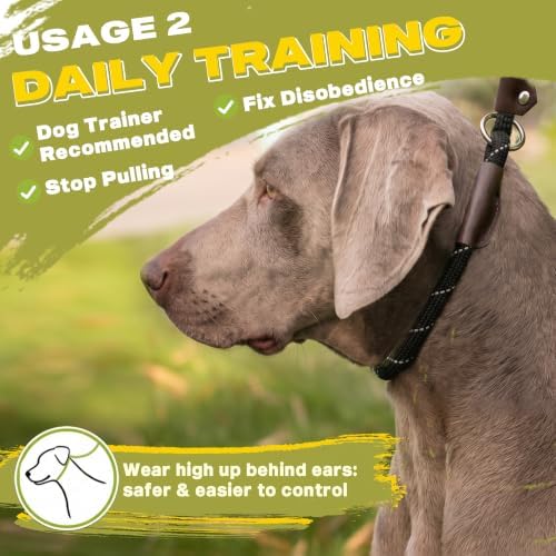 Fida Slip Lead Dog Leash 5 Pack, 6 FT x 1/2" Dog Training Leash - Image 5