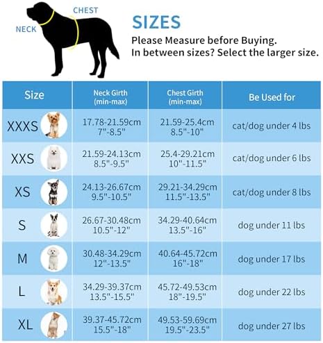 AIITLE Small Dog Harness and Leash Set, Step-in Puppy Pet Vest - Image 2