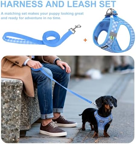 AIITLE Step in Medium Dog Harness and Leash Set, Puppy Pet Vest - Image 4