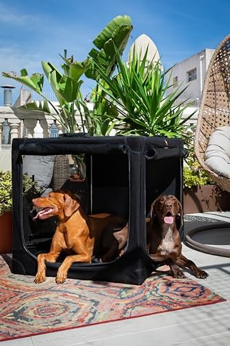 Noah & Paw XXL Collapsible Dog Crate, Soft Sided Dog Crate 900D Oxford - Image 3