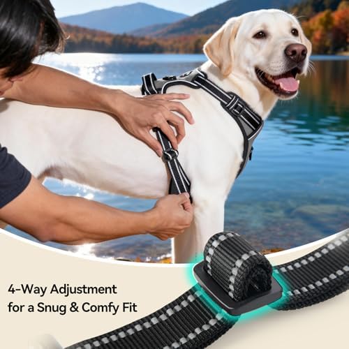 PHOEPET No Pull Dog Harness Medium Reflective Front Clip Vest - Image 6