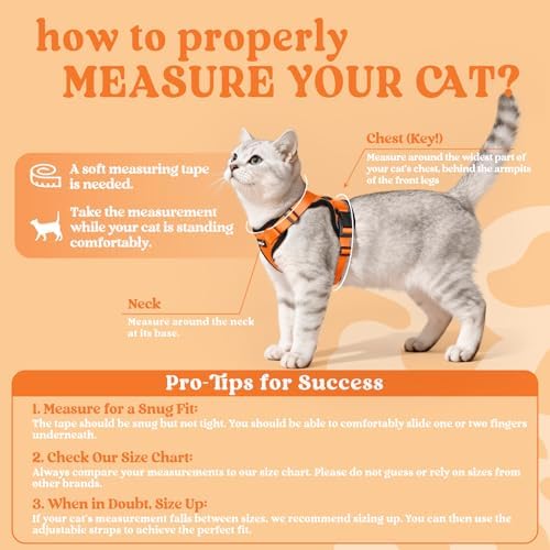 rabbitgoo Cat Harness and Leash Set, Escape Proof Vest - Image 2