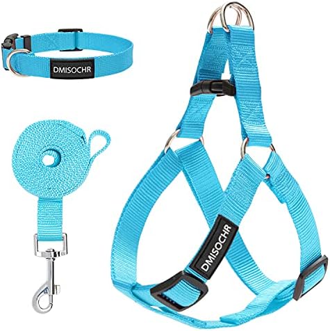 No Pull Dog Harness, Leash & Collar Set, Adjustable Step-in Vest by IPRAVOCI