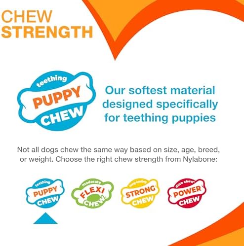 Nylabone Puppy Chew Pink Textured Teething Dog Bone - Image 5