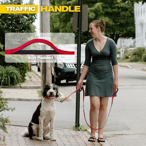 Fida 10 FT Heavy Duty Dog Leash, Dual Padded Handles - Image 4