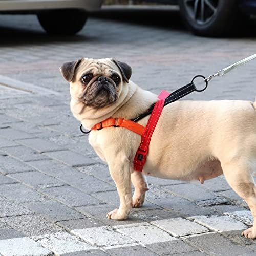 Didog No Pull Dog Harness for Small Dogs, Soft Padded Handle - Image 5