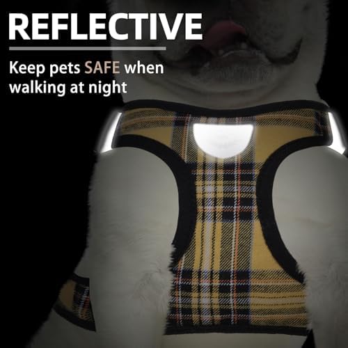 PUPTECK Dog Harness, Collar and Leash Set No Pull - Image 5