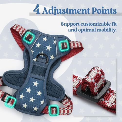 rabbitgoo Dog Harness, No Pull for Small Dogs - Image 4