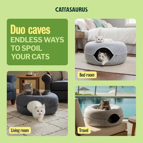 Cattasaurus Peekaboo Cat Cave Donut - Image 3