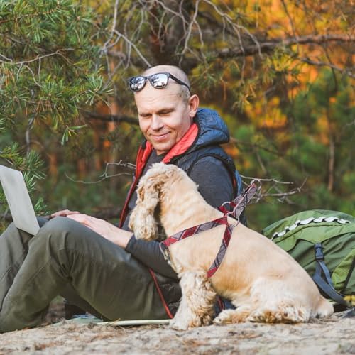 BINGPET No Pull Dog Harness Leash Collar Set, Adjustable Step-in Vest - Image 6