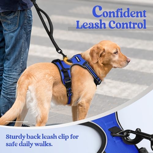 rabbitgoo Dog Harness, No Pull for Large Dogs - Image 6
