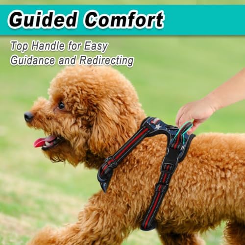 BARKBAY Dog Harness for Small Sized Dog No Pull Mesh 2 Clips Dog Vest - Image 4