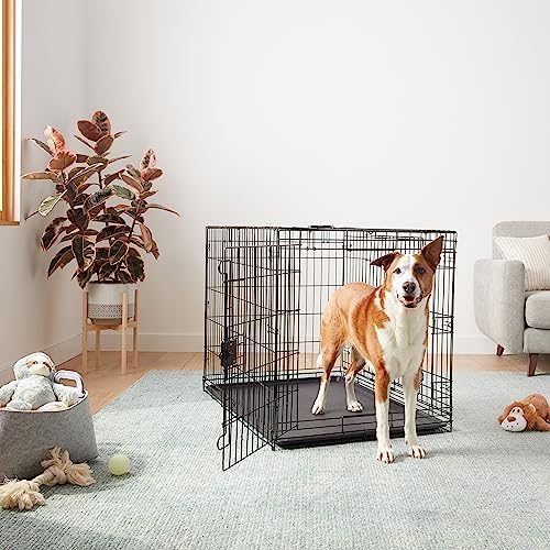 Amazon Basics Portable, Collapsible Metal Wire Dog Crate - Image 6