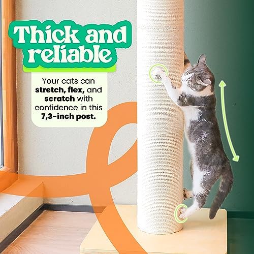 50" Tall Cat Scratching Post, Extra-Large Post - Image 4