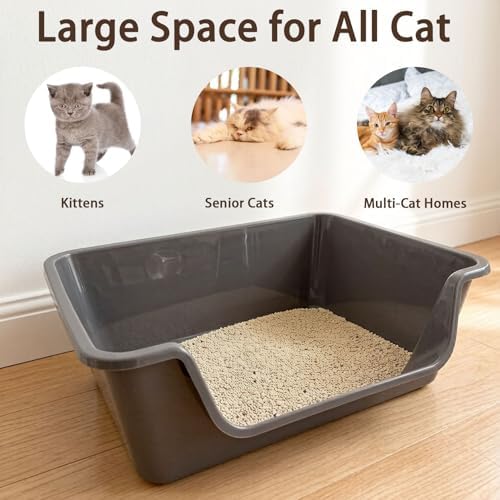 Low Entry Litter Box for Senior Cats High Sided Large Litter Box - Image 6