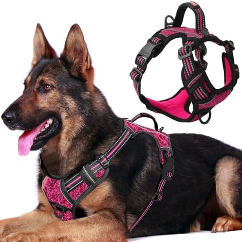 BARKBAY No Pull Dog Harness for Large Dogs, ID Tag Holder Dog Vest by BARKBAY