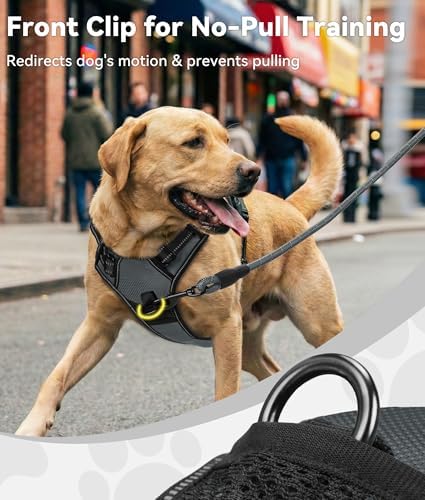 Joytale No Pull Dog Harness for Extra Large Dogs, Front Clip - Image 2