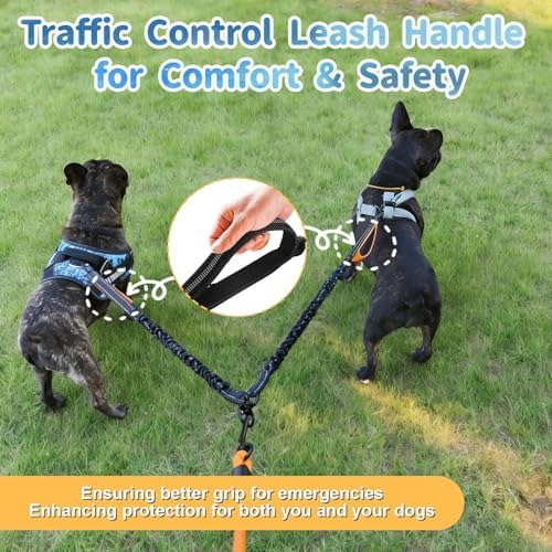 Double Dogs Leash - Image 4