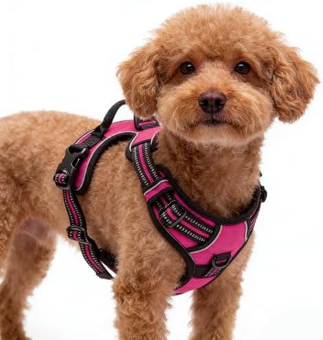 Hot Pink No-Pull Dog Harness - Image 5