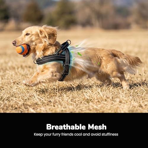 Didog No Pull Dog Harness for Small Dogs, Breathable Mesh Padded - Image 2