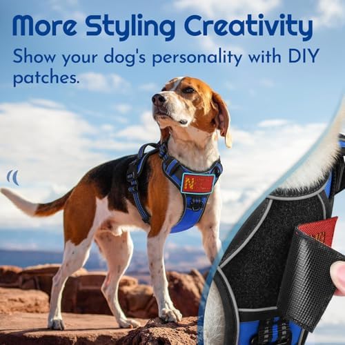 Eagloo Dog Harness No Pull for Large Dogs, Easy On & Off - Image 3