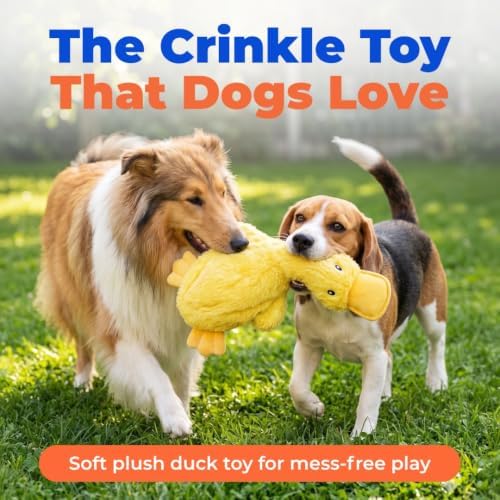 Best Pet Supplies Interactive Squeaky Dog Toy - Image 2