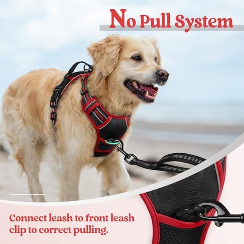 rabbitgoo Dog Harness, No Pull for Large Dogs - Image 5