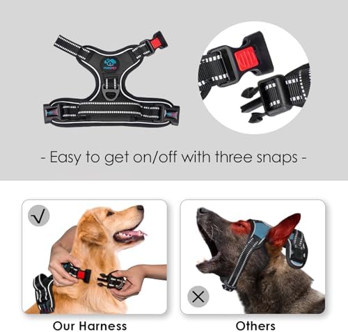 PHOEPET No Pull Dog Harnesses for Small Dogs Reflective Adjustable - Image 3