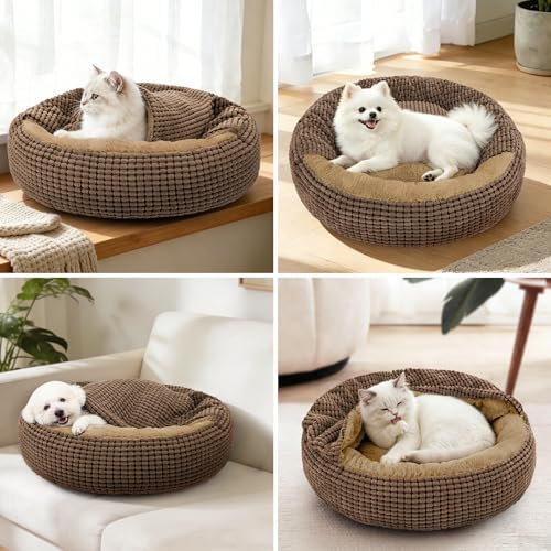 Dog Bed with Attached Blanket for Small Dogs or Cats, Soft Plush Cozy Donut - Image 5