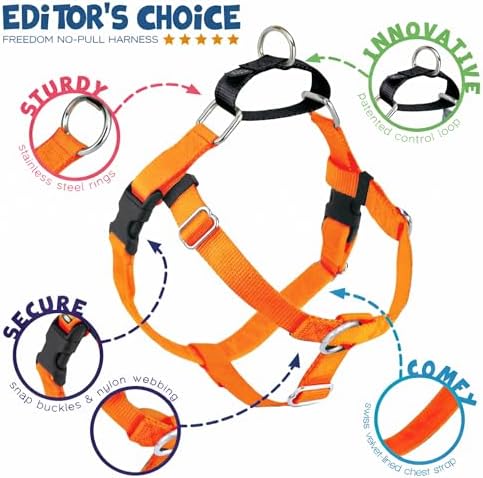 2 Hounds Design Freedom No Pull Dog Harness, 5/8 inch MD, Neon Orange - Image 4