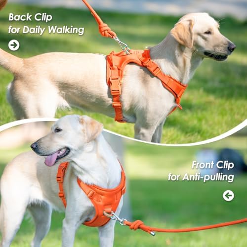 Sunraymascota No Pull Dog Harness - Image 3