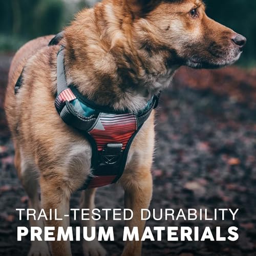 Embark No Pull Dog Harness, Reflective Adjustable Training Vest, No Choke - Image 5