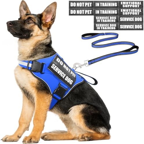 Service Dog Vest Harness and Leash Set+10 Patches, Easy Walk Blue XL by MOOGROUPETSFRIEND