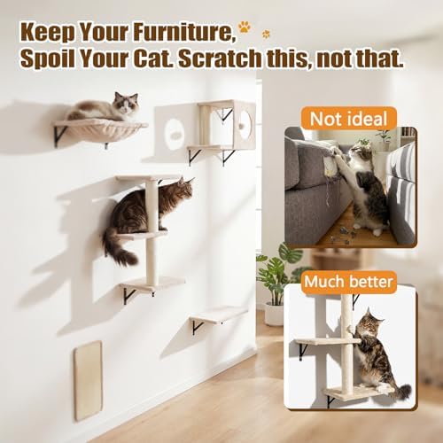 Cat Wall Shelves, Cat Wall Mounted Furniture, Climbing Wall Systems - Image 5