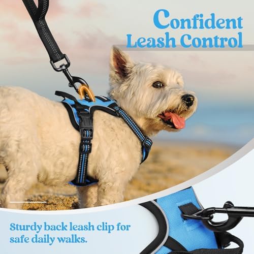 rabbitgoo Dog Harness, No Pull for Small Dogs - Image 6