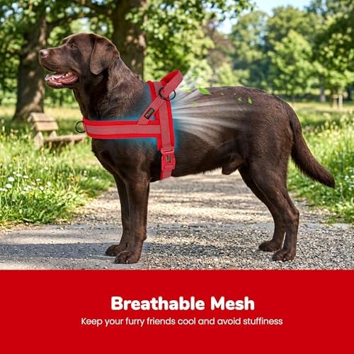 Didog No Pull Dog Harness for Large Dogs, Breathable Mesh Padded - Image 2