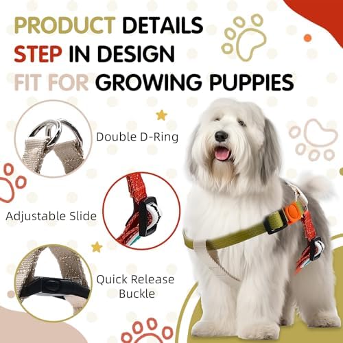 Tri-Color Dog Harness, Adjustable, No Pull, Easy Walk - Image 4