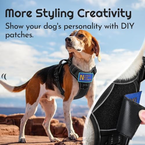 Eagloo Dog Harness No Pull for Medium Dogs, Easy On & Off - Image 3