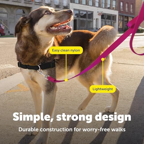 PetSafe Nylon Dog Leash, Raspberry Pink, 3/4 in x 4 ft - Image 4