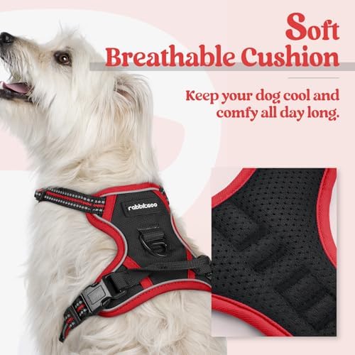 rabbitgoo Dog Harness, No Pull for Small Dogs - Image 2