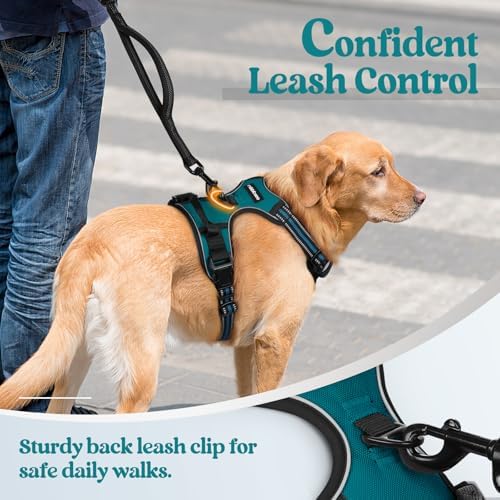 rabbitgoo Dog Harness, No Pull Medium Sized - Image 6