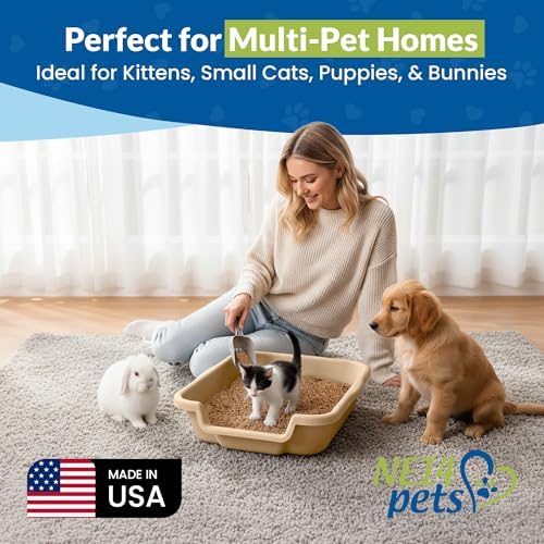 KittyGoHere Senior Cat Litter Box, Small Pan, 2 Pack Beach Sand - Image 3