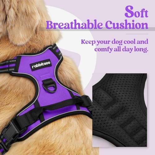 rabbitgoo Dog Harness, No Pull for Large Dogs - Image 2