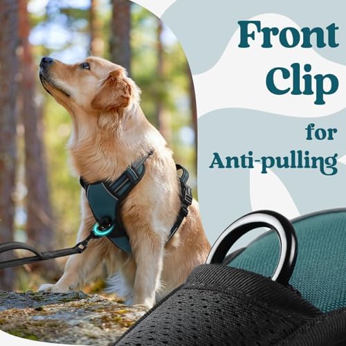 rabbitgoo Dog Harness Medium Sized, Updated Easy On & Off - Image 7